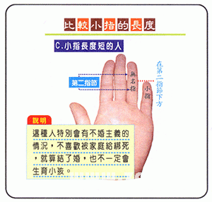 小指的长度