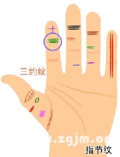 食指纹算命看你命运吉凶