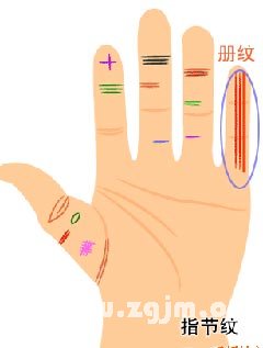 小指指纹算命看你命运吉凶