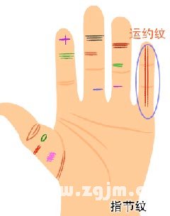 小指指纹算命看你命运吉凶