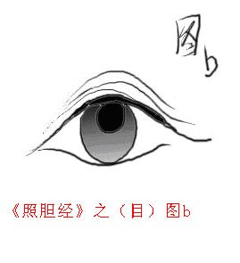 《照胆经》之（目）图b