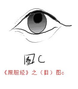 《照胆经》之（目）图c