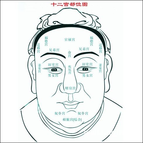 十二宫部位图