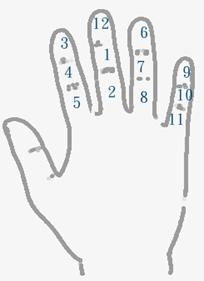 手相算命总论,手相算命大揭秘