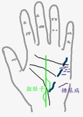 手相算命总论,手相算命大揭秘