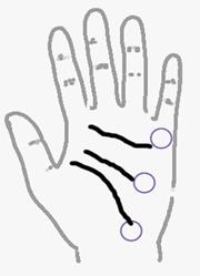 手相算命总论,手相算命大揭秘