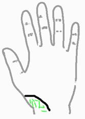 手相算命总论,手相算命大揭秘