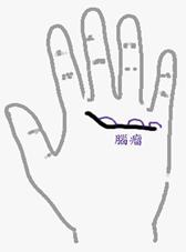 手相算命总论,手相算命大揭秘