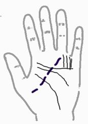 手相算命总论,手相算命大揭秘