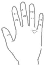 手相算命总论,手相算命大揭秘