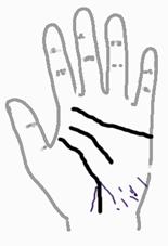 手相算命总论,手相算命大揭秘