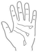 手相算命总论,手相算命大揭秘