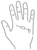 手相算命总论,手相算命大揭秘