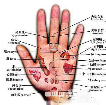 手相对应病区