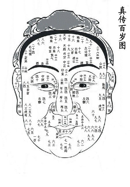流年运气部位图