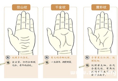 超全!掌纹手相让你一次看个够