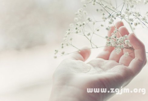 超全!掌纹手相让你一次看个够