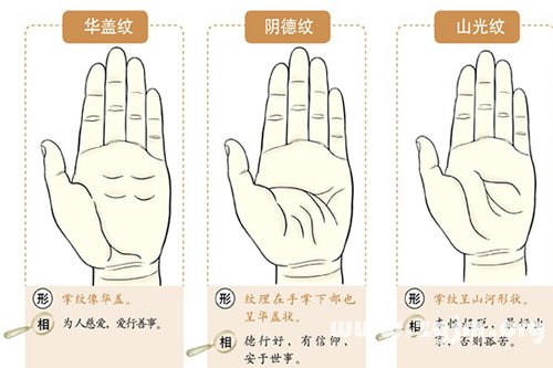 超全!掌纹手相让你一次看个够