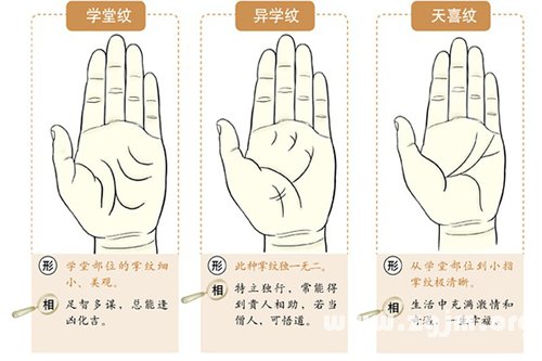 超全！掌纹手相让你一次看个够