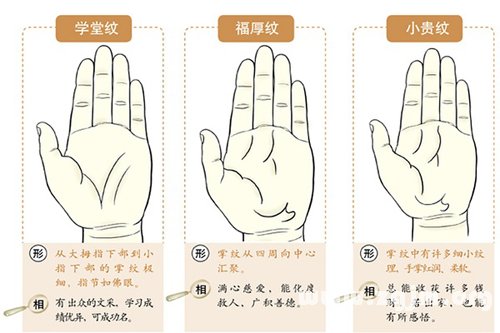 超全！掌纹手相让你一次看个够