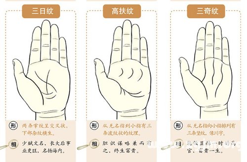 超全！掌纹手相让你一次看个够