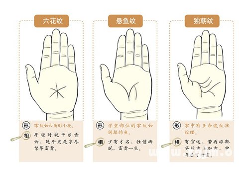 超全！掌纹手相让你一次看个够