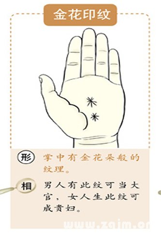 超全！掌纹手相让你一次看个够