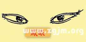 丹凤眼