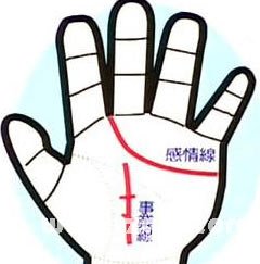 如何抓紧你的男人