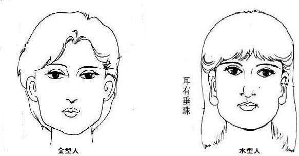 头部诊病
