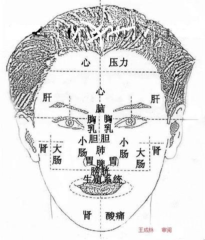面诊图