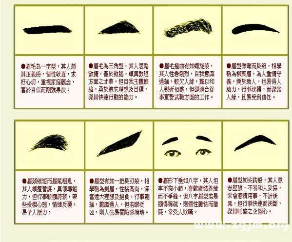 成涛面相眉毛相法