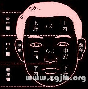 成涛面相三才六府十三部位