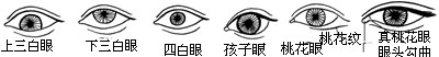 眉毛眼睛看一个人的性格与能力