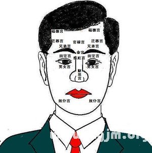 麦玲玲面相讲座：三停十二宫