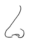 希腊鼻