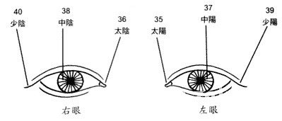 眼睛面相图解