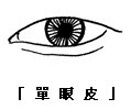 单眼皮