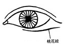 桃花纹