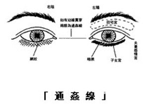 通 姦 线