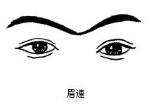 眉连