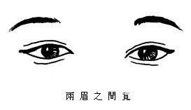 两眉之间宽