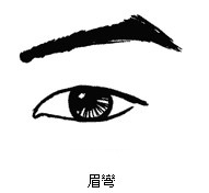 眉弯 