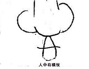人中现横纹