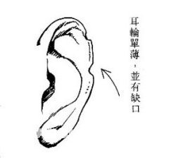 女人相学——命运相