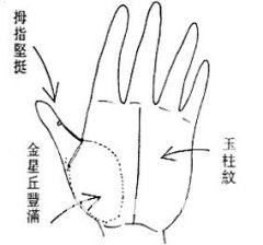 女人相学——命运相