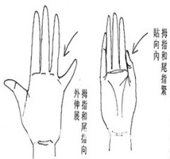女人相学——命运相