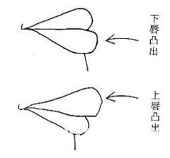 女人相学——命运相
