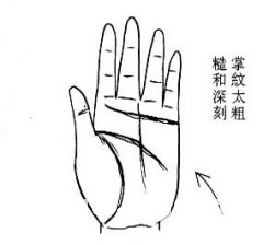 女人相学——命运相