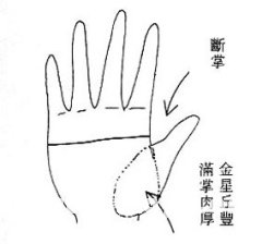 女人相学——命运相